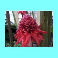 Conservatory 026.jpg